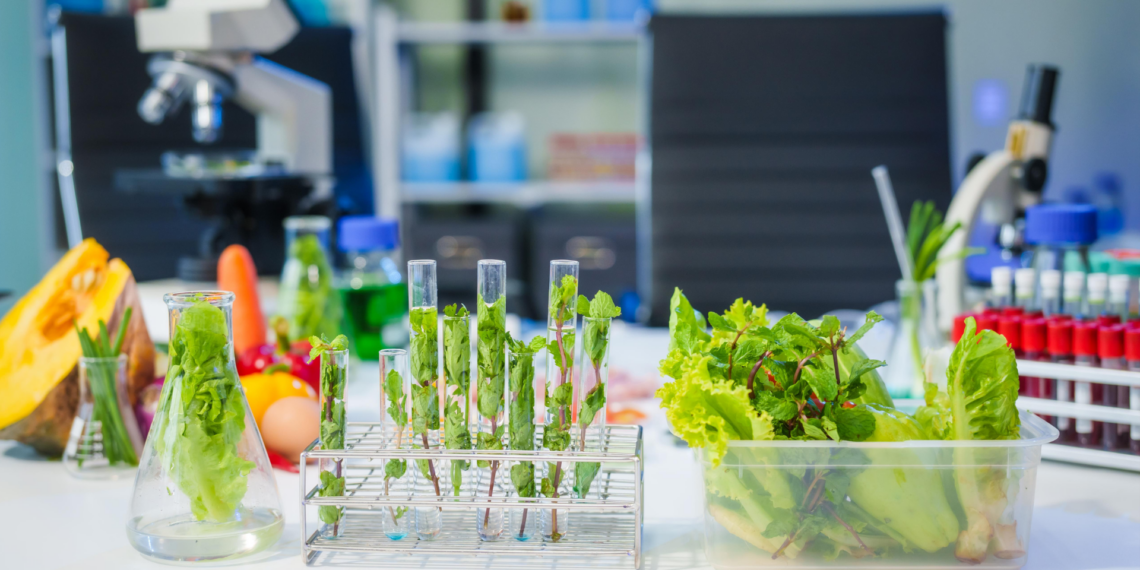 Pesquisadores do Rio de Janeiro desenvolvem plantas mais produtivas e resistentes às mudanças climáticas, com potencial de aumentar a produção e reduzir impactos ambientais.