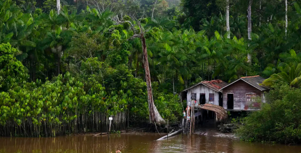 Seringueiro do Acre convive com a Doença de Jorge Lobo, rara na Amazônia, que causa lesões e isolamento. SUS amplia atendimento com projeto especializado.