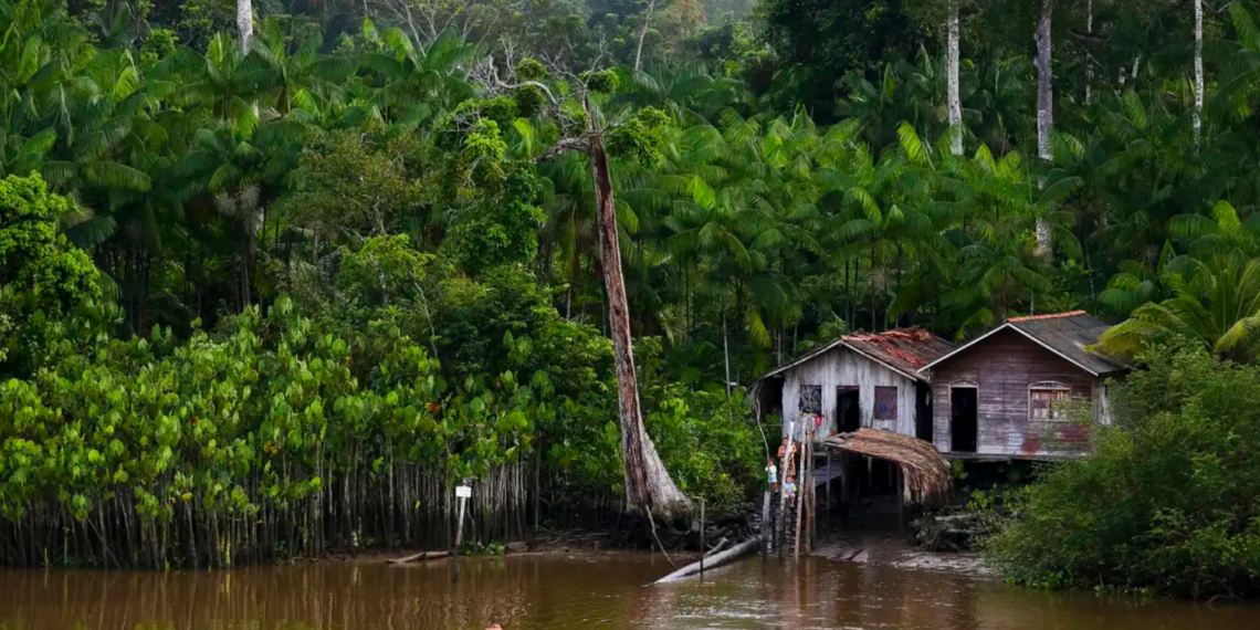 Seringueiro do Acre convive com a Doença de Jorge Lobo, rara na Amazônia, que causa lesões e isolamento. SUS amplia atendimento com projeto especializado.