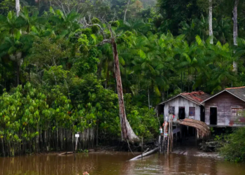 Seringueiro do Acre convive com a Doença de Jorge Lobo, rara na Amazônia, que causa lesões e isolamento. SUS amplia atendimento com projeto especializado.