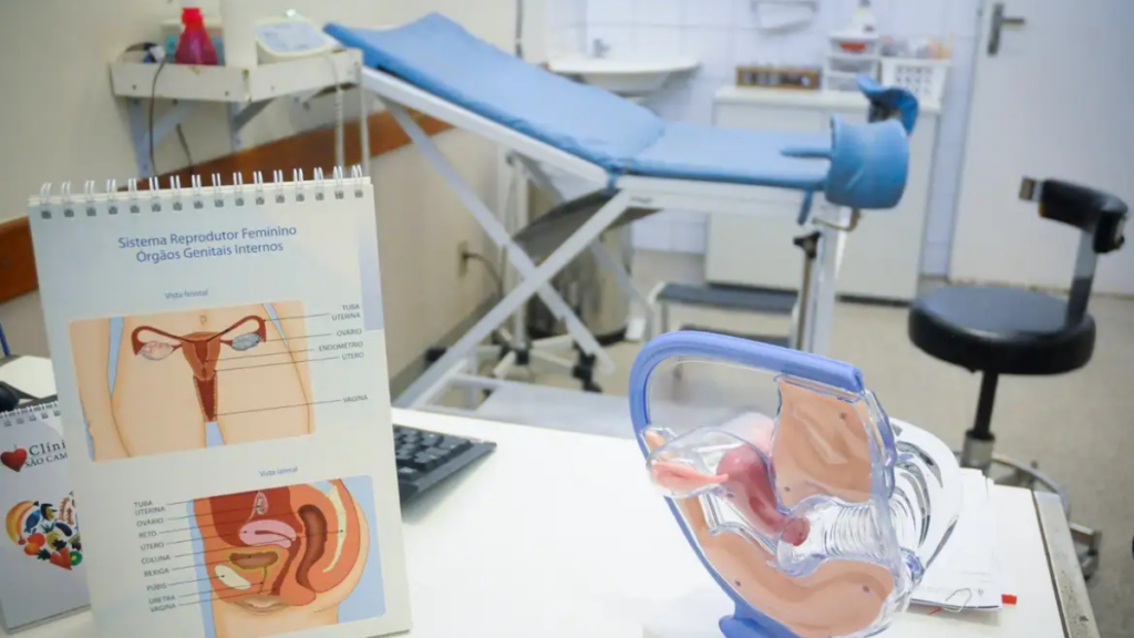 Endometriose atinge cerca de 1 em cada 10 mulheres no Brasil. Médicos destacam sintomas, diagnóstico precoce e opções de tratamento da doença.