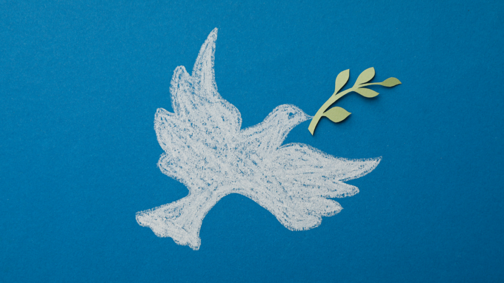 Irã responde proposta dos Estados Unidos para negociações de paz e destaca cessar-fogo, Líbano e segurança no Estreito de Ormuz.