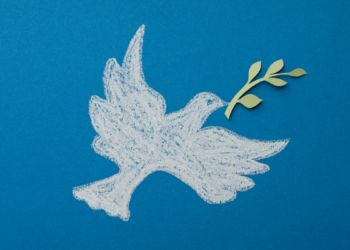 Irã responde proposta dos Estados Unidos para negociações de paz e destaca cessar-fogo, Líbano e segurança no Estreito de Ormuz.