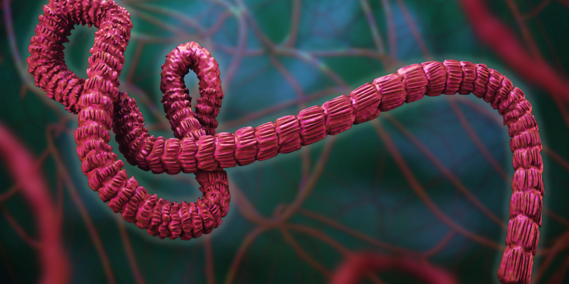 Surtos de ebola causados pelo vírus Bundibugyo são confirmados na RDC e em Uganda. OMS declara emergência internacional e reforça medidas de controle e prevenção.