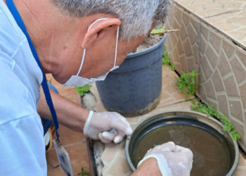 Prefeitura de Macaé realiza nesta semana mutirões, fumacê, ações educativas e controle de arboviroses em vários bairros do município.
