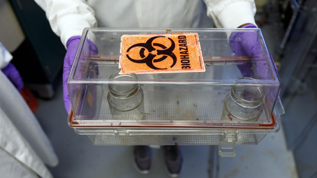 Surto bacteriano sem origem identificada preocupa autoridades de saúde nos EUA após casos de salmonella resistente a antibióticos.
