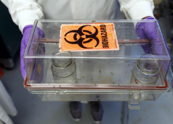Surto bacteriano sem origem identificada preocupa autoridades de saúde nos EUA após casos de salmonella resistente a antibióticos.