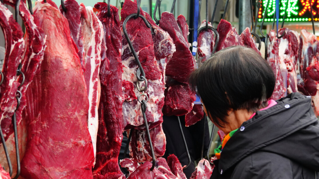 Com mais de 600 mil toneladas exportadas, Brasil reforça liderança global no setor de carne bovina e amplia negócios com a China.