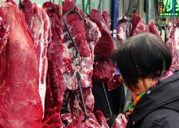Com mais de 600 mil toneladas exportadas, Brasil reforça liderança global no setor de carne bovina e amplia negócios com a China.