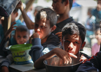 FAO alerta que fechamento do estreito de Ormuz pode provocar crise mundial de alimentos e aumento de preços em até 12 meses. 