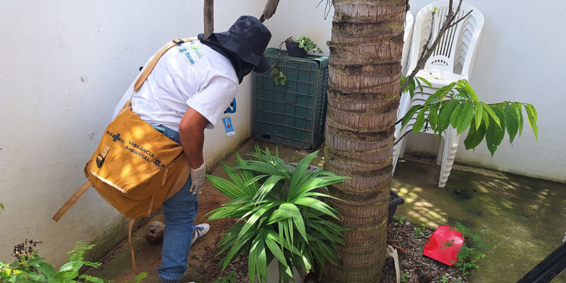 Mutirões, fumacê e ações educativas marcam a programação de combate à dengue em Macaé nesta semana.