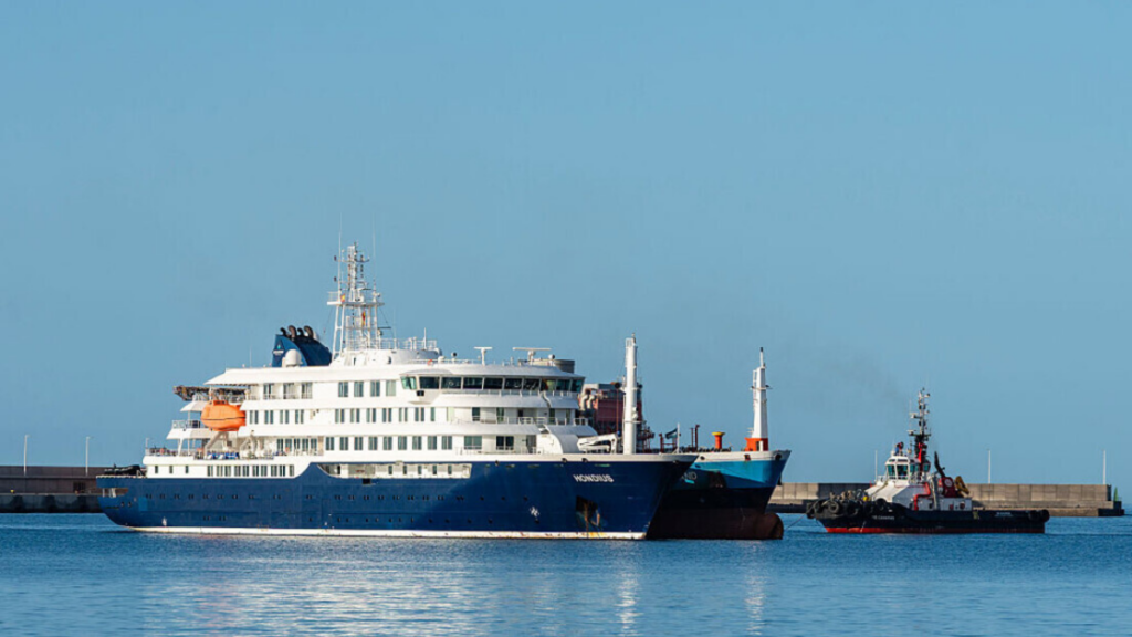 Organização Mundial da Saúde revelou que passageiros enfrentaram crises emocionais após confinamento prolongado em navio.