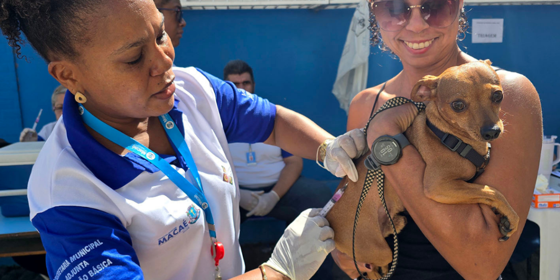 Macaé inicia pré-campanha de vacinação antirrábica na região serrana com atendimento em diferentes comunidades