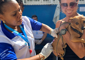 Macaé inicia pré-campanha de vacinação antirrábica na região serrana com atendimento em diferentes comunidades