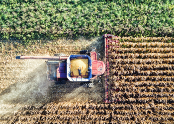 Mercado avalia riscos do El Niño para produção agrícola e investimentos
