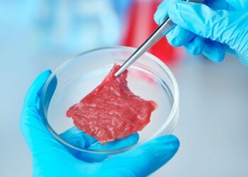 Embrapa avança na produção de carne cultivada em laboratório, tecnologia que dispensa abate animal e busca reduzir impactos ambientais da pecuária.