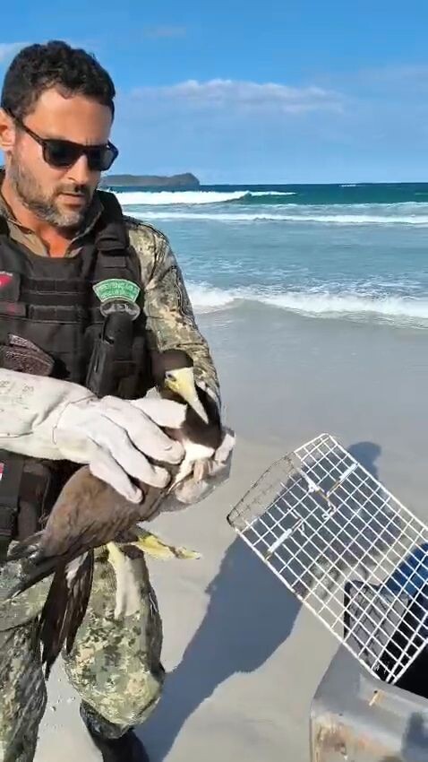 Imagem: Divulgação/ COGECOM/ Prefeitura de Cabo Frio