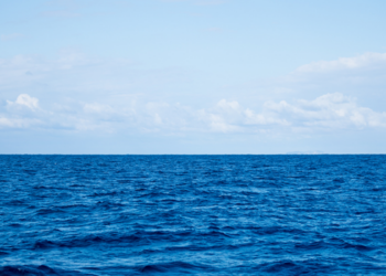 Celebrado em 8 de junho, o Dia Mundial dos Oceanos destaca a importância da preservação marinha, as metas ambientais globais e os desafios para proteger a biodiversidade e os recursos oceânicos.