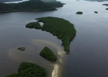 Ecossistemas marinhos como manguezais e pradarias marinhas ajudam a capturar carbono e reduzir o aquecimento global, mas ainda enfrentam subvalorização nas políticas ambientais.