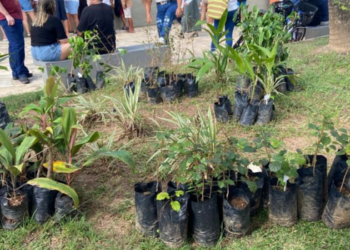 Rio das Ostras realiza ações pelo Mês do Meio Ambiente em junho
