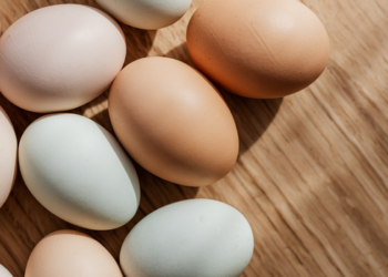 Ovo faz mal ou bem? Saiba como a ciência mudou a visão sobre o alimento e quais cuidados tomar no consumo diário.