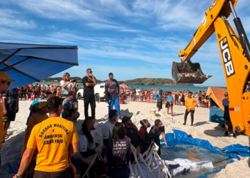 Animal permanece sob cuidados veterinários após operação de resgate na Praia do Forte.