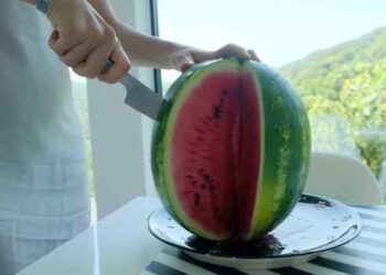 Rica em água, licopeno, vitaminas e aminoácidos, a melancia pode auxiliar na hidratação, na circulação e no equilíbrio da pressão e da glicose.