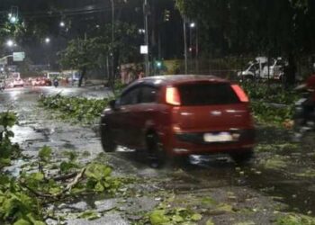 Vendaval provoca duas mortes e 185 ocorrências no Rio, com árvores caídas, imóveis destelhados, apagão e interrupções no transporte.