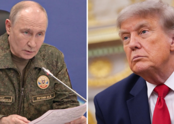 Vladimir Putin e Donald Trump conversaram por telefone durante as comemorações da independência dos EUA. O diálogo tratou das relações bilaterais, segurança internacional e da guerra na Ucrânia.
