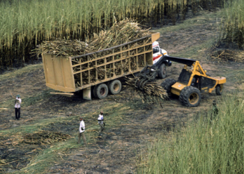 Novas tarifas dos Estados Unidos podem afetar 4.187 produtos brasileiros exportados, segundo a CNI. Medidas podem elevar a cobrança para até 37,5%.