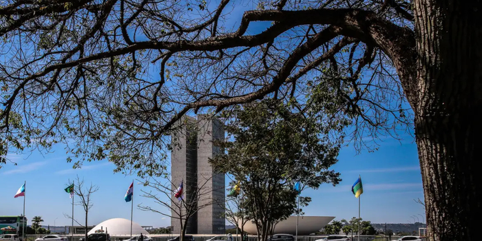 Senado aprova projeto que aumenta penas para crimes de exploração sexual infantil na internet. Proposta amplia atuação policial e segue para sanção presidencial.