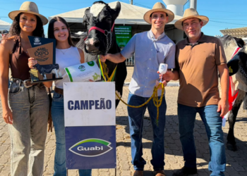 Vaca “Avenida” produz 100 quilos de leite em duas ordenhas e estabelece novo recorde estadual durante concurso leiteiro em Macaé.