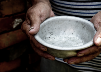 Relatório da FAO confirma que o Brasil segue fora do Mapa da Fome, com queda histórica da insegurança alimentar severa e melhora dos indicadores de acesso aos alimentos.