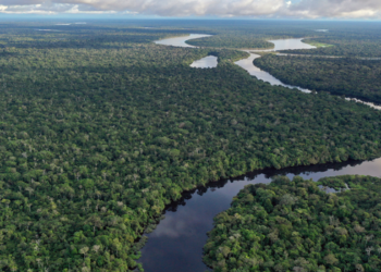 El Niño pode intensificar a seca na Amazônia, provocar queda no nível dos rios, aumentar queimadas e ameaçar espécies, comunidades ribeirinhas e povos indígenas.