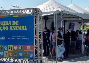 Feira de adoção em Macaé reúne cães e gatos neste sábado (22), das 10h às 14h, no Shopping Plaza Macaé. Saiba como participar.
