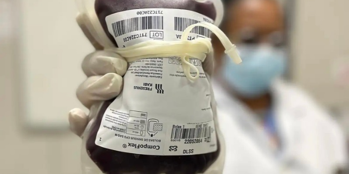 Lei 15.491/2026 inclui junho no calendário de conscientização sobre doação de sangue e prevê campanhas em todo o Brasil.