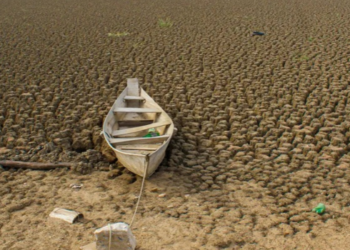 Brasil apresenta na COP17 meta de recuperar mais de 163 mil km² de áreas degradadas e ampliar a conservação ambiental até 2030.