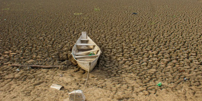 Brasil apresenta na COP17 meta de recuperar mais de 163 mil km² de áreas degradadas e ampliar a conservação ambiental até 2030.