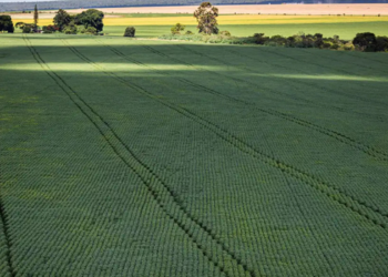 Senado aprova o Profert, programa que prevê incentivos para ampliar a produção de fertilizantes no Brasil e reduzir a dependência das importações.