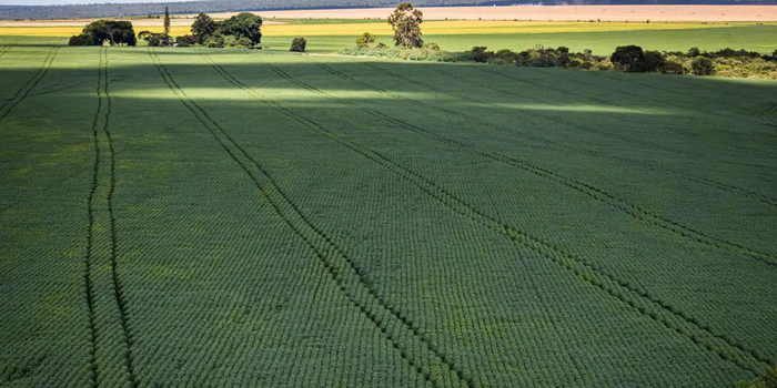 Senado aprova o Profert, programa que prevê incentivos para ampliar a produção de fertilizantes no Brasil e reduzir a dependência das importações.
