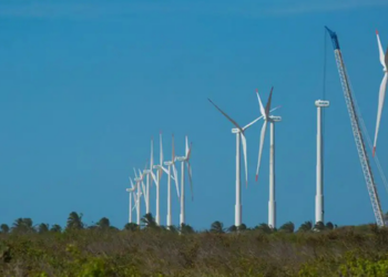 Projeto “Futuros Verdes no Nordeste” busca mapear oportunidades de baixo carbono, empregos verdes e necessidades de formação profissional na região.