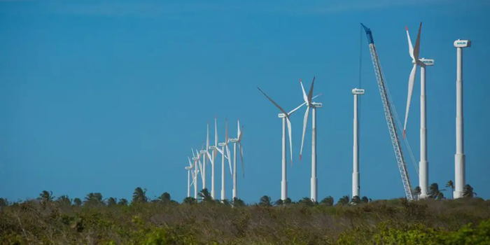 Projeto “Futuros Verdes no Nordeste” busca mapear oportunidades de baixo carbono, empregos verdes e necessidades de formação profissional na região.