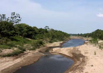 El Niño entre 2026 e 2027 pode afetar a produção de café, cacau e açúcar no Brasil e no exterior, com possíveis impactos nos preços.