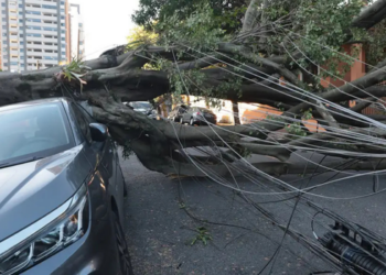 Eventos climáticos extremos levam setor elétrico brasileiro a discutir investimentos, inovação e adaptação das redes em encontro da Aneel.