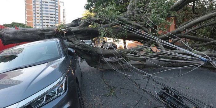 Eventos climáticos extremos levam setor elétrico brasileiro a discutir investimentos, inovação e adaptação das redes em encontro da Aneel.