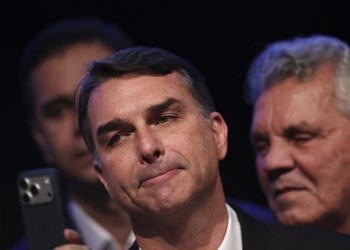 1. André Mendonça classificou associação como inverídica e determinou retirada de mais de mil publicações