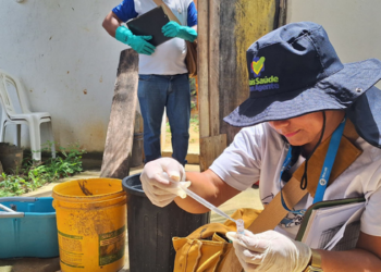 Macaé promove entre 10 e 14 de agosto ações contra dengue, zika e chikungunya, vacinação de cães e gatos e combate a mosquitos e roedores.