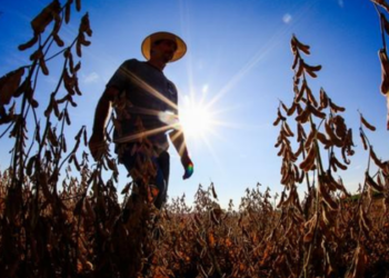 El Niño 2026-2027 pode reduzir renda, afetar empregos e agravar condições de trabalho no Brasil e na América Latina, alerta estudo da OIT.