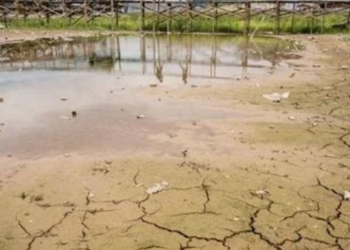 Com a chegada do chamado verão amazônico e a queda no nível dos rios, 15 municípios entraram em situação de alerta, segundo o boletim mais recente divulgado pelo Governo do Estado.