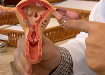 CNPq abre chamada de R$ 60 milhões para pesquisas sobre endometriose, dor pélvica e saúde menstrual. Inscrições vão até 12 de agosto.